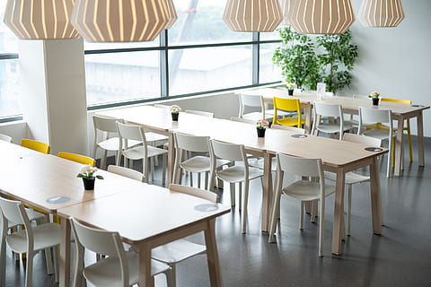 ikea, table, dining, chair, lamp, plant, natural, lifestyle, life, live, living, room, restaurant, simple, white, indoors, seat, furniture, absence, no people, empty, day, business, window, flooring, nature, arrangement, white color, setting, curtain, 5K, CC0, public domain, royalty free