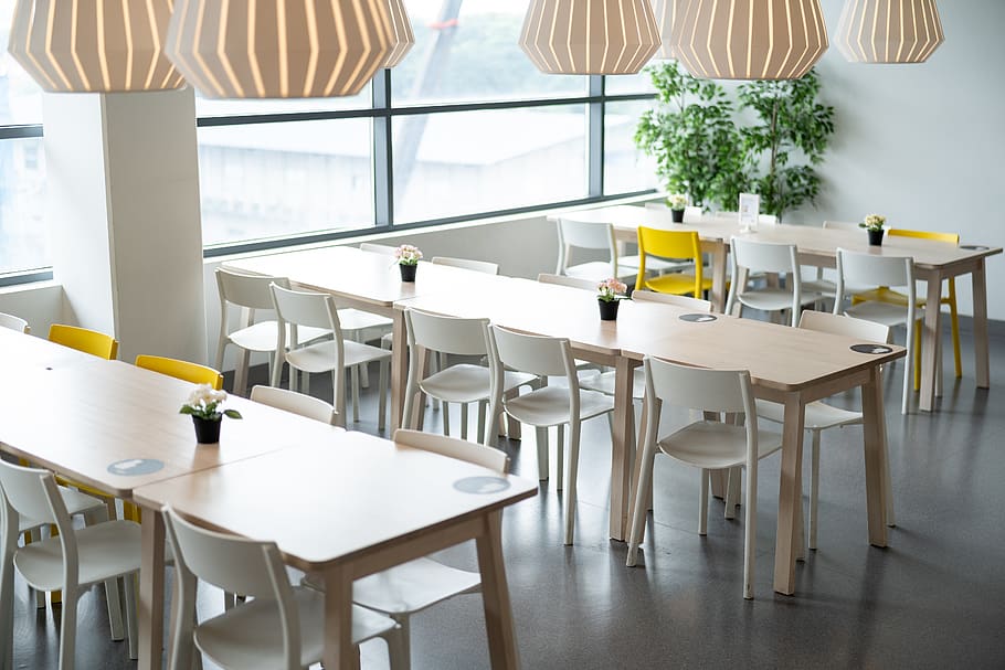 ikea, taula, menjar, cadira, llum, planta, natural, estil de vida, la vida, en viu, vivent, habitació, restaurant, simple, blanc, a l'interior, seient, mobles, absència, cap gent, buit, dia, negocis, finestra, sòls, naturalesa, arranjament, Color blanc, configuració, cortina, 5K