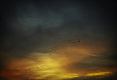 Himmel, Sonnenuntergang, Wolken, dunkel, Farbe, Farbexplosion, Vögel, wolke - himmel, Schönheit in der Natur, Flachwinkelansicht, Szenen - Natur, Ruhe, Vogel, keine Leute, ruhige Szene, Natur, orange Farbe, idyllisch, Wirbeltier, fliegend, Tiere in freier Wildbahn, Dramatischer Himmel, Tierthemen, Tier, Tierwelt, draußen, Vogelschwarm, Meteorologie, 4K, CC0, gemeinfrei, lizenzfrei