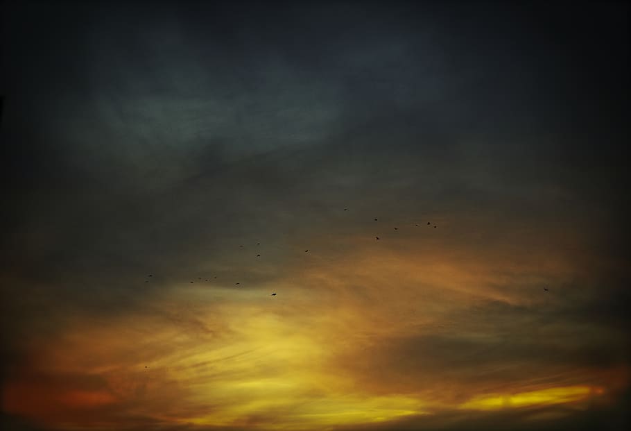 Himmel, Sonnenuntergang, Wolken, dunkel, Farbe, Farbexplosion, Vögel, wolke - himmel, Schönheit in der Natur, Flachwinkelansicht, Szenen - Natur, Ruhe, Vogel, keine Leute, ruhige Szene, Natur, orange Farbe, idyllisch, Wirbeltier, fliegend, Tiere in freier Wildbahn, Dramatischer Himmel, Tierthemen, Tier, Tierwelt, draußen, Vogelschwarm, Meteorologie, 4K