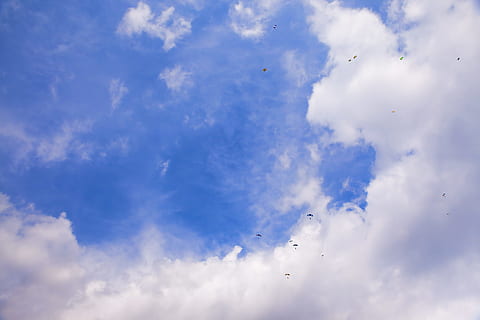 , cel, volant, paracaigudisme, gent, paracaigudista, paracaigudistes, risc, blau, a l'aire lliure, esport, caient, aire, núvol - cel, ocell, vertebrats, temes d'animals, animal, naturalesa, fauna animal, grup d’animals, vista d’angle baix, animals a la natura, cap gent, bellesa a la natura, dia, a l'aire, escenics - natura, tranquil·litat, ramat d’ocells, 4K, CC0, domini públic, lliure de regalies