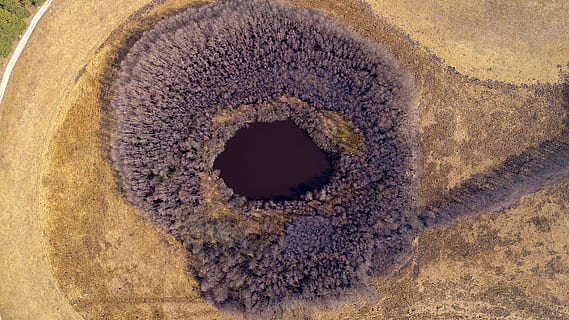 Tyskland, tæt på, ingen mennesker, et dyr, dag, natur, øje, udendørs, dyre temaer, dyr, geometrisk form, sensorisk opfattelse, form, cirkel, iris - øje, dyreliv, dyr kropsdel, hul, høj vinkel visning, ekstrem nærbillede, pattedyr, dyr øje, 5K, CC0, offentligt domæne, royaltyfrie