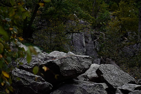 green trees, moss, tree, rock formation, devils lake, rock, nature, rock - object, solid, no people, water, forest, beauty in nature, land, tranquility, plant, day, outdoors, motion, scenics - nature, non-urban scene, growth, flowing water, stream - flowing water, flowing, eroded, 5K, CC0, public domain, royalty free