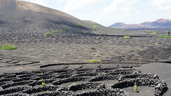 Lanzarote, du vin, lave, évolution, paysage, été, la nature, Montagne, paysages - nature, ciel, nuage - ciel, environnement, beauté dans la nature, journée, terre, personne, volcan, scène tranquille, chaîne de montagnes, tranquillité, en plein air, plante, solide, scène non urbaine, Roche, plantation, 4K, CC0, domaine public, libre de droits