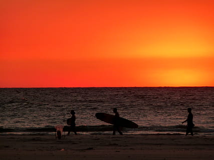 puesta de sol, rojo, cielo, playa, arena, Oceano, agua, surf, tablista, tabla de surf, verano, mar, silueta, color naranja, belleza en la naturaleza, paisajes - naturaleza, tierra, temas de animales, horizonte, animal, horizonte sobre el agua, naturaleza, fauna animal, actividad de ocio, animales en la naturaleza, grupo de animales, al aire libre, 2K, CC0, dominio público, libre de derechos