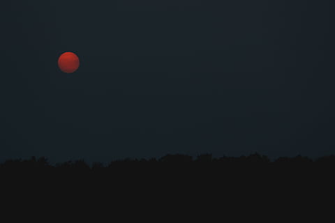 Dom, puesta de sol, gradiente, naranja, silueta, linea de arboles, árbol, tresillo, forma, circulo, orbe, bajo, brillar, luz del sol, papel pintado, noche, cielo, al aire libre, naturaleza, rojo, Luna, color naranja, azul, globo aerostático, deporte, paisaje, oscuridad, antecedentes, amarillo, oscuro, de color negro, 2K, CC0, dominio público, libre de derechos
