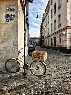 Pfad, Gehweg, Rad, Maschine, Fahrrad, Fahrzeug, Transport, Pflaster, Bürgersteig, Polen, Krakau, 3, Kopfsteinpflaster, Steinplatte, Metropole, Gebäude, Stadt, Dorf, Stadt, städtisch, Gebäudehülle, die Architektur, gebaute Struktur, Transportmittel, Straße, Landfahrzeug, Kommunikation, Tag, Text, Zeichen, westliche Schrift, Fußweg, stationär, draußen, Wohngegend, Natur, keine Leute, Gasse, Pflasterstein, 4K, CC0, gemeinfrei, lizenzfrei