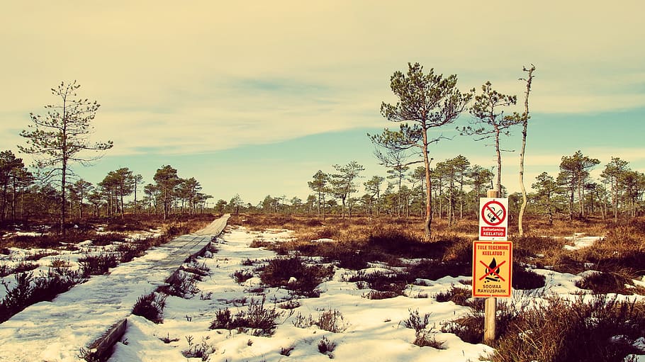 nevat, carretera, envoltat, arbres, núvols, fred, color, alba, la llum del dia, vespre, medi ambient, zing, gelades, congelat, paisatge, llum, naturalesa, a l'aire lliure, parc, camí, temporada, vista, signes, cel, neu, sol, posta de sol, viatjar, aigua, temps, hivern, fusta, signe, planta, arbre, temperatura de fred, comunicació, senyal de trànsit, orientació, cap gent, senyal d'advertència, cobertura, núvol - cel, transport, informació, signe d'informació, 4K