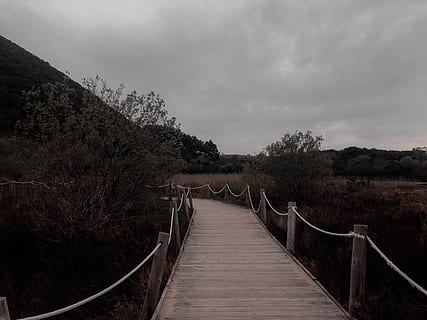 Spanien, noja, Richtung, der Weg nach vorn, Pflanze, Himmel, Baum, wolke - himmel, Natur, Geländer, Holz - Material, Verbindung, Fußweg, keine Leute, Promenade, gebaute Struktur, Brücke, die Architektur, ruhige Szene, Szenen - Natur, Ruhe, Nicht-städtische Szene, draußen, Steg, abnehmende Perspektive, Brücke - künstliche Struktur, Holz, Holzverkleidung, lange, 2K, CC0, gemeinfrei, lizenzfrei