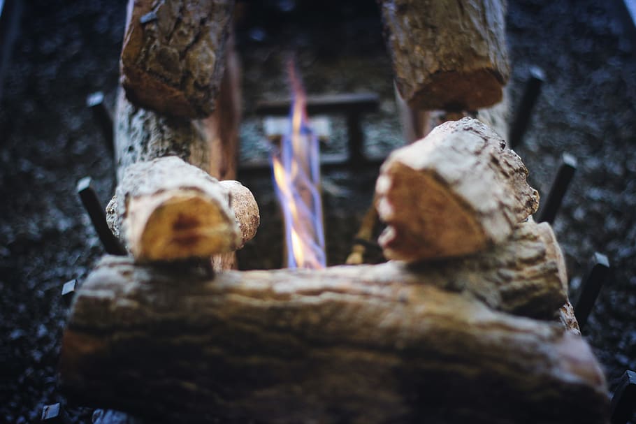 fuoco, caldo, camino, messa a fuoco selettiva, avvicinamento, nessuno, legno - materiale, giorno, albero, all'aperto, legna, natura, arrugginito, strutturato, metallo, pila, ceppo, vecchio, cibo e bevande, legname, tronco d'albero, Marrone, tronco, 5K