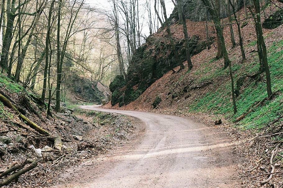 arbres, herba, branques, boscos, naturalesa, a l'aire lliure, ruta, carretera, Camí, brutícia, turons, roques, arbre, planta, el camí a seguir, direcció, terra, transport, bosc, tranquil·litat, escena tranquil·la, bellesa a la natura, escena no urbana, dia, cap gent, creixement, Carretera bruta, carretera buida, escenics - natura, 1080P