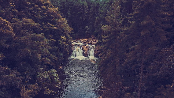 verzi de pin, apă, natură, râu, în aer liber, cascadă, plantă, brad, copac, abies, emburá, Brazilia, anurnamed road - embura, vegetație, conifer, teren, lac, curent, pârâu, pădure, scenice - natura, zi, nici o persoana, frumusețe în natură, apă curgătoare, construită, mişcare, scenă non-urbană, arhitectură, expunere lungă, liniște, creştere, curgere, 2K, CC0, domeniu public, fără drepturi de autor