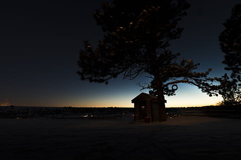 tree, house, light, sun, sunset, night, treehouse, calm, architecture, built structure, building exterior, sky, plant, nature, building, silhouette, no people, religion, place of worship, belief, spirituality, land, outdoors, 4K, CC0, public domain, royalty free