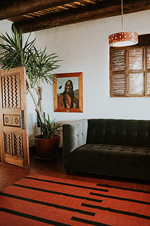 buit, sofà, al costat, paret, planta en test, a l'interior, planta, interior de casa, marc, arquitectura, representació, art i artesania, representació humana, finestra, una persona, estructura construïda, funció de construcció de parets, taula, sòls, persones reals, dia, habitació domèstica, 8K, CC0, domini públic, lliure de regalies