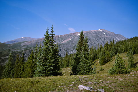 Pinos, tiempo de día, planta, árbol, abeto, abies, conífera, monte dilema, al aire libre, naturaleza, cuesta abajo, picea, desierto, cordillera, montaña, suelo, alerce, bosque, arboles, montañas, cielo, ambiente, belleza en la naturaleza, tierra, paisajes - naturaleza, nadie, paisaje, día, Pino, azul, árbol conífero, escena tranquila, color verde, destinos de viaje, bosque de pinos, pico de la montaña, 5K, CC0, dominio público, libre de derechos