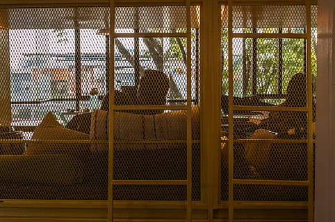 home, assegut, sofà, arquitectura, finestra, a l'interior, cap gent, metall, dia, edifici, estructura construïda, seguretat, patró, protecció, buit, naturalesa, quadrícula, història, embolic de cables, llum solar, arbre, ornamentat, 4K, CC0, domini públic, lliure de regalies