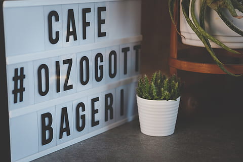 cafeteria, oizo, cafè, kaffe, fons, fika, gothenburg, text, comunicació, a l'interior, guió occidental, planta en test, planta, cap gent, creixement, primer pla, naturalesa, color verd, signe, decoració, Color blanc, dia, planta suculenta, cactus, natura morta, test de flor, 4K, CC0, domini públic, lliure de regalies