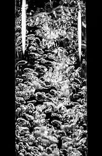 acqua, nessuno, pianta, crescita, natura, avvicinamento, all'aperto, giorno, filtro di post produzione automatico, freschezza, finestra, movimento, albero, fiore, bellezza nella natura, luce del sole, ambiente, messa a fuoco selettiva, la tranquillità, 5K, CC0, dominio pubblico, privo di copyright