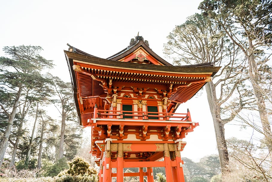 edifici pintat de taronja, temple, arquitectura, edifici, adoració, santuari, pagoda, san francisco, EUA, jardí Botànic, temple japonès, margaret whiston, planta, arbre, porxo, columna, pilar, porta, pati, torii, naturalesa, estructura construïda, creença, exterior de l'edifici, religió, lloc de culte, espiritualitat, cel, dia, cap gent, vista d’angle baix, a l'aire lliure, talla, 5K