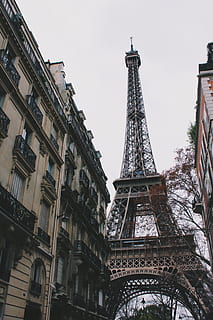 Eiffelturm, die Architektur, Gebäude, Turm, Kirchturm, Stadt, städtisch, Stadt, Dorf, Metropole, Hochhaus, Bürogebäude, Innenstadt, Baum, Pflanze, Monument, Balkon, Wohngebäude, Champ de Mars, Natur, gebaute Struktur, Flachwinkelansicht, Gebäudehülle, Geschichte, Himmel, Reiseziele, die Vergangenheit, Tourismus, große Höhe, keine Leute, Tag, Reise, architektonisches Merkmal, draußen, 2K, CC0, gemeinfrei, lizenzfrei