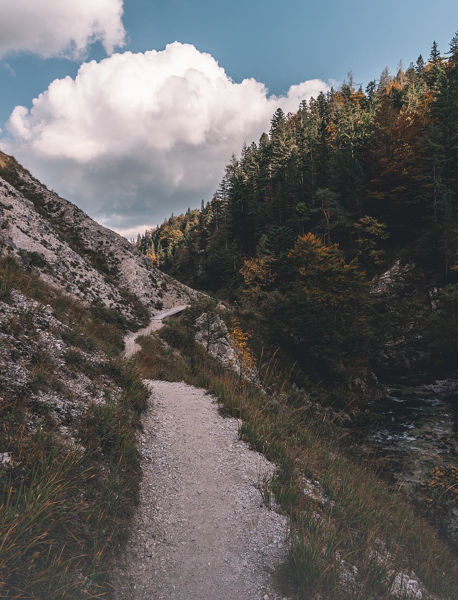 Austràlia, ötscherbach, planta, núvol - cel, cel, arbre, bellesa a la natura, tranquil·litat, naturalesa, escena tranquil·la, direcció, cap gent, dia, escenics - natura, el camí a seguir, escena no urbana, aigua, creixement, a l'aire lliure, sendera, carretera, ruta, 5K