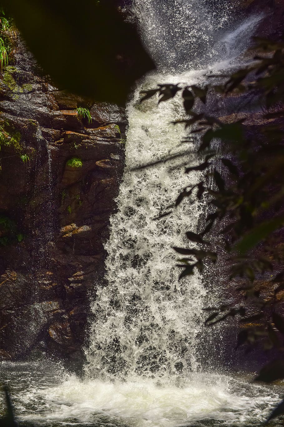 Cachoeira durante o dia, Rocha, animal, natureza, plantar, árvore, ao ar livre, mamífero, teia de aranha, fungo, gelo, réptil, lagarto, iguana, pássaro, região selvagem, aves aquáticas, animais selvagens, coiote, agua, rio, movimento, cascata, beleza na natureza, água corrente, ninguém, dia, scenics - natureza, Exposição longa, movimento borrado, sólido, terra, floresta, fluindo, poder na natureza, 5K