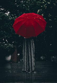 persona, de peu, utilitzant, vermell, paraigua, pluja avançada, pluja, gotes de pluja, plovent, paraigües vermelles, tempesta, aigua, temps, humit, planta, arbre, cap gent, naturalesa, primer pla, protecció, a l'aire lliure, dia, centrar-se en primer pla, seguretat, tirar, creixement, temporada de pluges, gota de pluja, 4K, CC0, domini públic, lliure de regalies