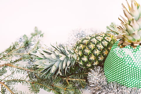 ananas, presente, aghi, sempreverde, ramo, colore verde, pianta, Pinaceae, albero, nessuno, natura, albero di conifere, Pino, pigna, ago - parte vegetale, avvicinamento, crescita, giorno, Natale, albero di Natale, concentrarsi sulle conoscenze acquisite, cactus, inverno, celebrazione, all'aperto, albero sempreverde, 5K, CC0, dominio pubblico, privo di copyright