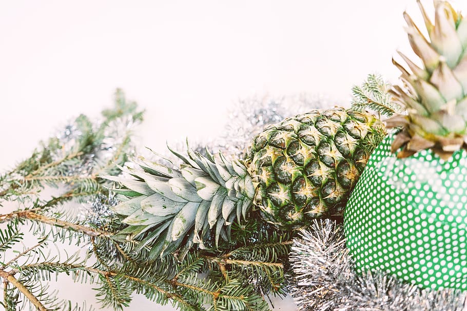 ananas, presente, aghi, sempreverde, ramo, colore verde, pianta, Pinaceae, albero, nessuno, natura, albero di conifere, Pino, pigna, ago - parte vegetale, avvicinamento, crescita, giorno, Natale, albero di Natale, concentrarsi sulle conoscenze acquisite, cactus, inverno, celebrazione, all'aperto, albero sempreverde, 5K