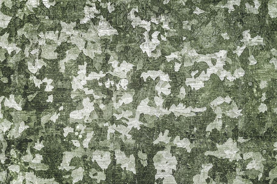 patró, resum, sense costures, teixit, fons, textura, marc complet, aspre, resistent, cap gent, vell, aixafar, funció de construcció de parets, descamació, espatllat, pintura, arquitectura, deteriorament, primer pla, estructura construïda, declivi, color verd, brutícia, brut, efecte texturat, arruïnat, 5K