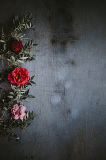 Blumen, grau, Muster, Frühling, Natur, Sommer-, Magnolie, Stoff, blühen, Pflanze, Blatt, Romantik, Design, Rose, Schmetterling, asiatisch, Kamille, Aquarell, Strauß, Tiger, Rosen, hölzern, Ikea, Blume, blühende Pflanze, Schönheit in der Natur, Zerbrechlichkeit, Frische, Nahansicht, Verletzlichkeit, drinnen, Blütenblatt, rot, Blütenkopf, keine Leute, Blütenstand, Tabelle, Anordnung, Wandbau - Funktion, Blumenschmuck, Blumenstrauß, 4K, CC0, gemeinfrei, lizenzfrei