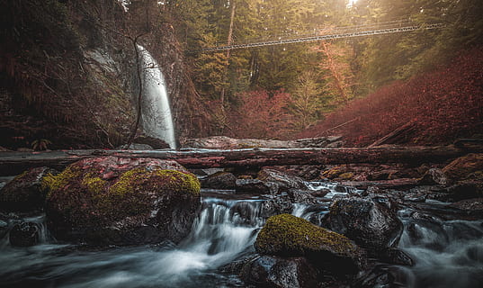 Billede af vandfald, kaskade, miljø, flyde, Skov, natur, Oregon, klipper, naturskøn, strøm, vandfald, træ, vand, scenics - natur, bevægelse, skønhed i naturen, plante, klippe, lang eksponering, solid, rock-objekt, flydende vand, jord, sløret bevægelse, flod, ingen mennesker, efterår, flyder, strøm - rindende vand, udendørs, lave om, magt i naturen, 4K, CC0, offentligt domæne, royaltyfrie