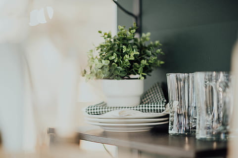 tre, hvid, plader, bord, hjem indretning, keramik, møbel, underkop, måltid, mad, fad, plante, kunst, porcelæn, kop, kaffekop, spisebord, linned, bordplade, blomst, blomstre, hylde, kande, indendørs, husholdningsudstyr, ingen mennesker, selektiv fokusering, natur, glas, plade, mad og drikke, fravær, drikkeglas, glas - materiale, potteplante, dag, hjem interiør, køkkenredskaber, indstilling, 5K, CC0, offentligt domæne, royaltyfrie