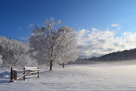 snow, tree, winter, cold, frost, nature, white, season, covered, ice, landscape, frozen, forest, natural, outdoor, blue, sky, clouds, sunlight, colorful, scenic, cold temperature, plant, beauty in nature, tranquil scene, tranquility, scenics - nature, seat, bench, no people, environment, land, field, outdoors, park bench, 4K, CC0, public domain, royalty free