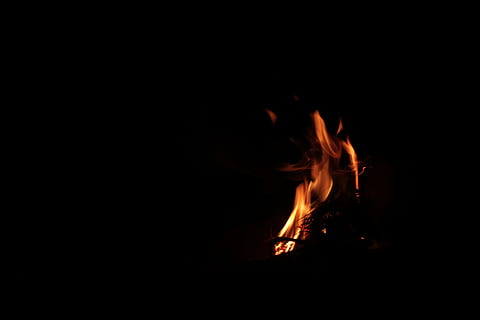 fuego, oscuro, ligero, llama, negro, hoguera, caliente, parpadeo, mínimo, al aire libre, ardiente, fuego - fenómeno natural, calor - temperatura, fondo negro, nadie, movimiento, copia espacio, foto de estudio, color naranja, naturaleza, noche, adentro, de color negro, movimiento borroso, de cerca, cámping, 5K, CC0, dominio público, libre de derechos