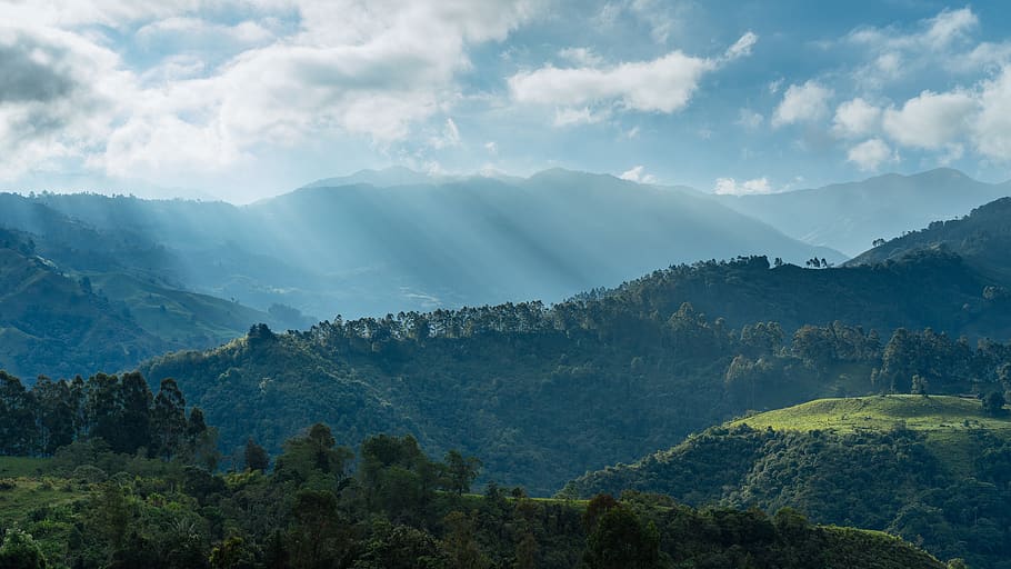 Natur, Landschaft, Berg, Wolken, Himmel, Gras, Feld, Reise, Abenteuer, Wanderung, steigen, Grün, Bäume, Blätter, Szenen - Natur, Schönheit in der Natur, ruhige Szene, Gebirge, Baum, Ruhe, Umgebung, wolke - himmel, Nicht-städtische Szene, Pflanze, keine Leute, Nebel, grüne Farbe, idyllisch, Wald, draußen, Gipfel, 5K