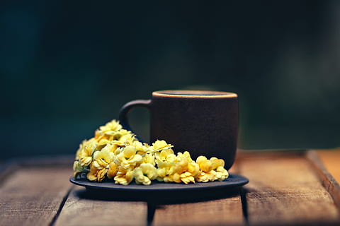 coffee and flowers, coffee, cup, dark, drink, flowers, food and drink, food, table, indoors, freshness, wood - material, close-up, no people, focus on foreground, selective focus, mug, healthy eating, hot drink, wellbeing, studio shot, snack, refreshment, still life, tea cup, 4K, CC0, public domain, royalty free