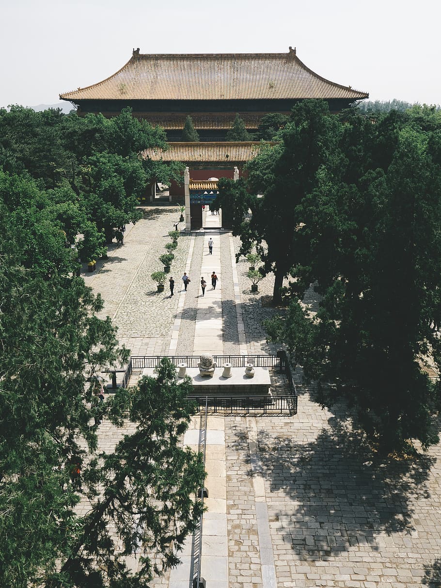 temple, envoltat, arbres, Xina, Beijing, gris, heura, flora, planta, ceràmica, planta en test, bonsai, gerro, arbre, jar, pagoda, santuari, edifici, arquitectura, adoració, urbà, carreró, estructura construïda, exterior de l'edifici, naturalesa, dia, creixement, destinacions de viatge, color verd, cap gent, a l'aire lliure, vista d’angle alt, religió, creença, lloc de culte, jardí formal, espiritualitat, sostre, 4K