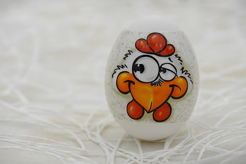 Osterei, Ostern, Osterfeier, Ei, bunt, Farbe, Frosch, Ente, Hase, Nahansicht, Darstellung, keine Leute, Kunst und Handwerk, Kreativität, Feier, menschliche Darstellung, Fokus auf den Vordergrund, Spielzeug, anthropomorphes smileygesicht, anthropomorph, drinnen, Lebensmittel, Kunst, anthropomorphes Gesicht, weiße Farbe, orange Farbe, Gesicht, 5K, CC0, gemeinfrei, lizenzfrei