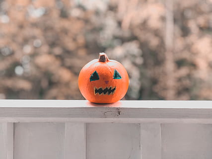 apelsinpumpa, orange färg, mat, pumpa, mat och dryck, firande, halloween, fokusera på förgrunden, dag, inget folk, räcke, natur, vegetabiliska, frukt, Pumpalykta, utomhus, höst, trämaterial, äta nyttigt, närbild, orange, 4K, CC0, offentligt domän, royaltyfria