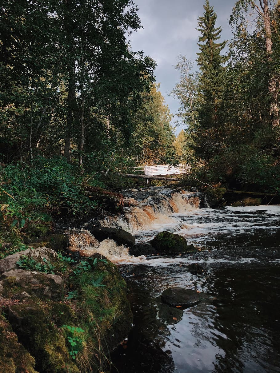 Zeitraffer Fotografie, fließend, Fluss, Bäume, Tageslicht, Umgebung, fließen, Wald, Landschaft, Langzeitbelichtung, Moos, moosige Felsen, Natur, Park, Felsen, szenisch, Steine, Wasser, Wasserfluss, Wasserfälle, Wildnis, Baum, Pflanze, fließendes Wasser, Schönheit in der Natur, Wachstum, Ruhe, Szenen - Natur, keine Leute, Land, Tag, Rock, Nicht-städtische Szene, solide, draußen, 4K