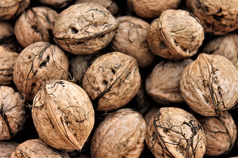 walnuts, shell, autumn, nuts, brown, food and drink, food, large group of objects, full frame, healthy eating, wellbeing, freshness, still life, nut, backgrounds, nut - food, walnut, no people, close-up, nutshell, abundance, indoors, group of objects, textured, vegetarian food, snack, 4K, CC0, public domain, royalty free