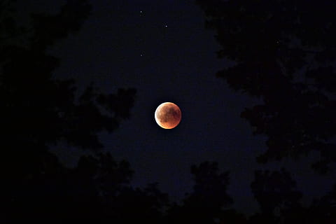 , noite, lua, céu, astronomia, espaço, lua cheia, beleza na natureza, scenics - natureza, natureza, tranquilidade, cena tranquila, visão de baixo ângulo, árvore, ninguém, plantar, idílico, lua planetária, Sombrio, estrela - espaço, astrologia, ao ar livre, espaço e astronomia, luar, eclipse, 5K, CC0, domínio público, royalty free