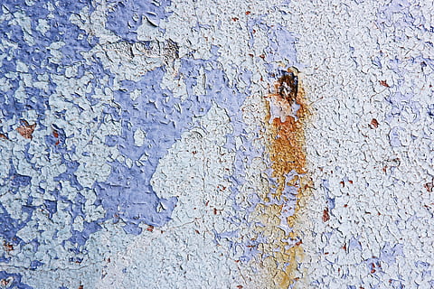 Rost, Fleck, Textur, Wand, Teppich, wirbellos, Tier, Honigbiene, Biene, Insekt, Karte, Diagramm, Fenster, Atlas, Handlung, Beton, Türkis, Kristall, Segeltuch, Ölpest, Vollbild, texturiert, keine Leute, Tag, Hintergründe, Nahansicht, Tierthemen, Wandbau - Funktion, Blau, Tierwelt, Tiere in freier Wildbahn, High Angle View, Rau, draußen, ein Tier, gebaute Struktur, Natur, 2K, CC0, gemeinfrei, lizenzfrei
