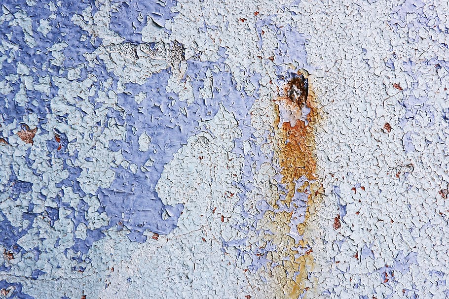 rust, plet, struktur, væg, tæppe, hvirvelløse, dyr, honningbi, bi, insekt, kort, diagram, vindue, atlas, grund, beton, turkis, krystal, lærred, oliespild, fuld ramme, tekstureret, ingen mennesker, dag, baggrunde, tæt på, dyre temaer, murbygningsfunktion, blå, dyreliv, dyr i naturen, høj vinkel visning, ru, udendørs, et dyr, bygget struktur, natur, 2K
