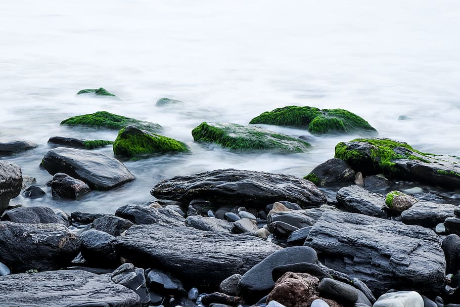 gris, roques, molsa, platja, boulder, calma, medi ambient, paisatge, exposició llarga, roques molses, naturalesa, oceà, a l'aire lliure, pacífica, rocós, escènic, mar, paisatge marí, vora del mar, pedres, estiu, viatjar, fons de pantalla, aigua, rock, rock - object, sòlid, terra, bellesa a la natura, escenics - natura, moviment, cap gent, dia, tranquil·litat, onada, idíl·lic, escena no urbana, aigua que flueix, que flueix, litoral rocós, 5K