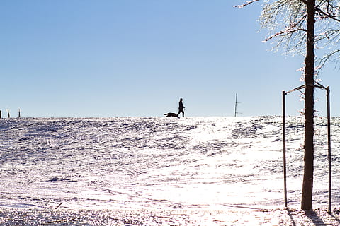 Canada, québec, hemel, land-, echte mensen, sneeuw, heldere lucht, natuur, winter, een persoon, schoonheid in de natuur, dag, koude temperatuur, scenics - natuur, niet-stedelijke scène, veld-, levensstijlen, vrijetijdsbesteding, kalmte, onherkenbaar persoon, rustige scène, boom, buitenshuis, 5K, CC0, publiek domein, royaltyvrij