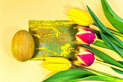 Ostern, Ostergruß, Frühling, Gelb, Gold, osterkarte, Grußkarte, dekorativ, Tradition, Textfeld, Tulpe, blühende Pflanze, Blume, mehrfarbig, Blütenblatt, Pflanze, Frische, Kunst und Handwerk, Schönheit in der Natur, Nahansicht, drinnen, Verletzlichkeit, keine Leute, Natur, Zerbrechlichkeit, Blütenkopf, Blütenstand, Studioaufnahme, Kunst, Kreativität, Aquarellfarben, Kunst- und Handwerksausrüstung, 5K, CC0, gemeinfrei, lizenzfrei