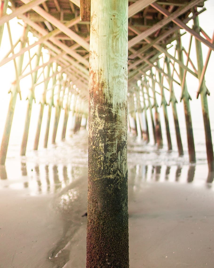 Seedockbasis, Wasser, Seebrücke, Ufergegend, Dock, Hafen, Säule, die Architektur, Meer, verwittert, Landschaft, Strand, Küste, Post, Ufer, unterhalb, Ozean, Gebäude, Geländer, keine Leute, Fokus auf den Vordergrund, Tag, gebaute Struktur, Nahansicht, Metall, architektonische Säule, draußen, Natur, Muster, Verbindung, Sonnenlicht, Barriere, Land, Bambus, Detail, 4K