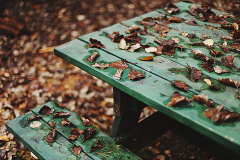 Brun, visne, blade, grøn, træ-, Picnic bord, faret vild, efterår, bord, blad, Skov, plante del, grøn farve, dag, ingen mennesker, høj vinkel visning, metal, natur, tør, fokus på forgrunden, rusten, lave om, tæt på, selektiv fokusering, udendørs, jord, Mark, gammel, rodet, forringelse, 5K, CC0, offentligt domæne, royaltyfrie